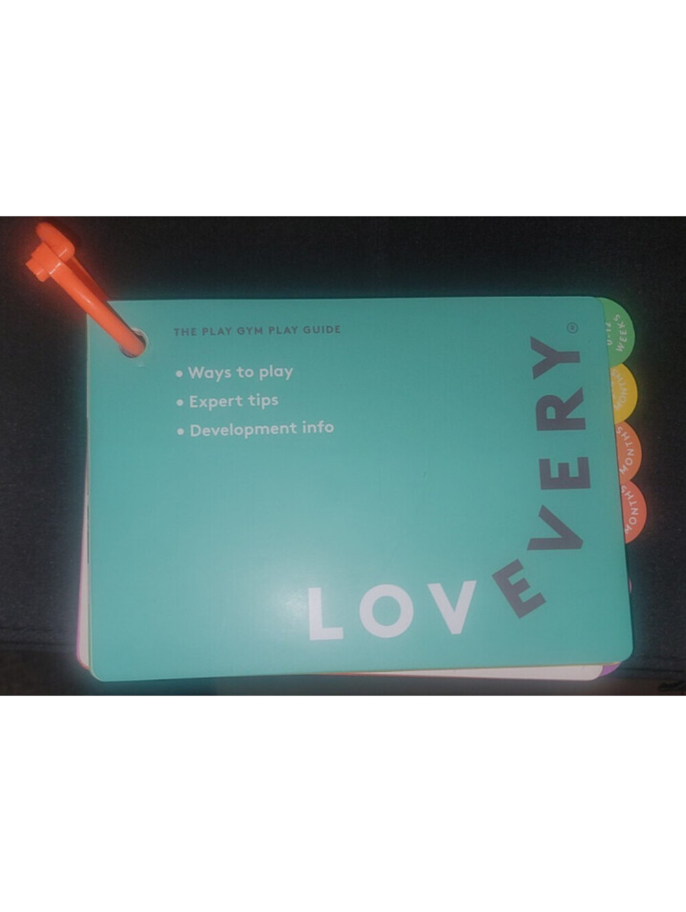LOVEVERY THE PLAY GYM PLAY GUIDE REPLACEMENT BOOKLET INFANT BABY 0-12 MONTHS
